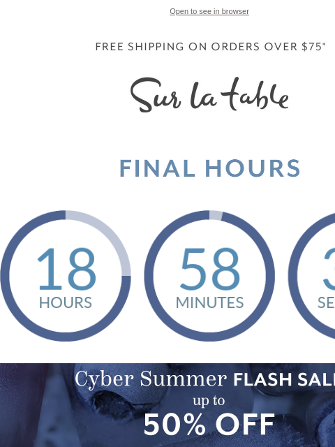 surlatable newsletter: Clock’s Ticking! Must-Have Appliances Inside 