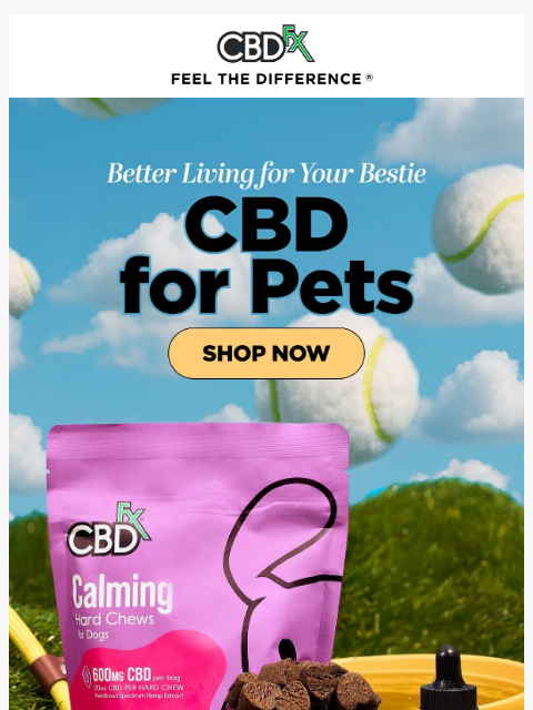 cbdfx newsletter: Show your love with CBD for pets 🐶🐱
