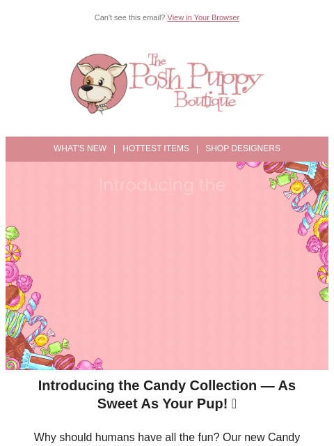 poshpuppyboutique newsletter: Your Pup Called — They Want More Candy! 🍬✨