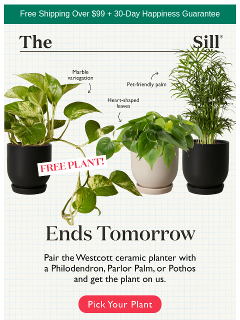 thesill newsletter: 👋, which plant did you pick?