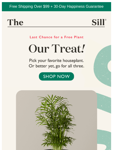 thesill newsletter: Go ahead. Get all three. For free.