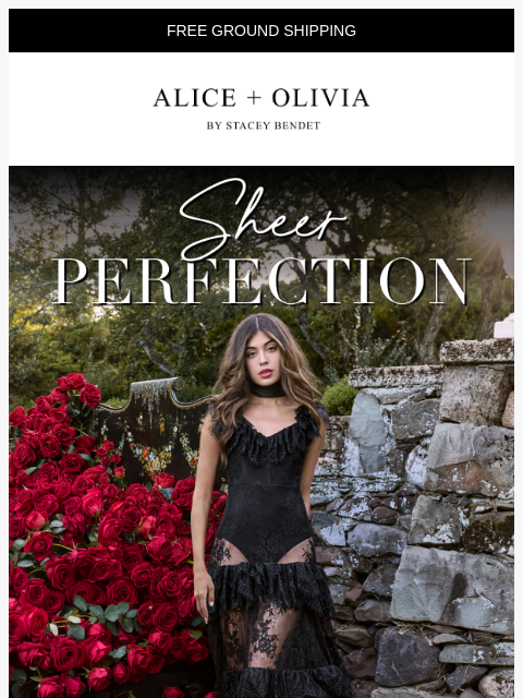 aliceandolivia newsletter: The Sheer Edit