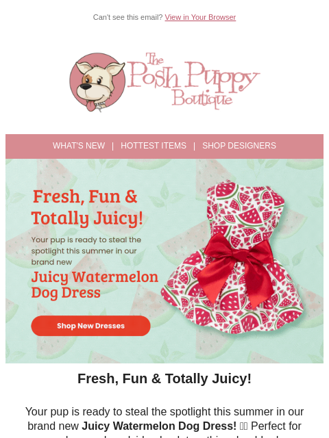 poshpuppyboutique newsletter: 🍉 Sweet Summer Style: The Juicy Watermelon Dress ...