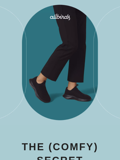 allbirds newsletter: Don’t Sleep On These Sneaks.