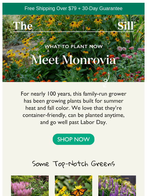 thesill newsletter: Still Planting? You Should Be.