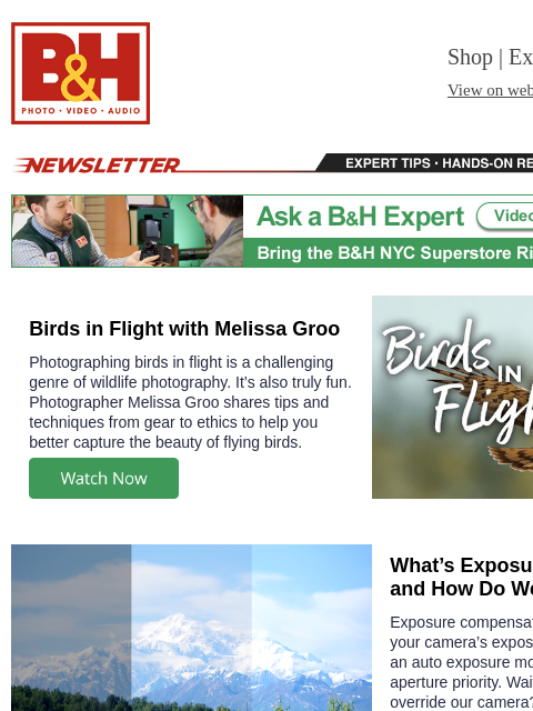 bhphotovideo newsletter: Birds in Flight, Exposure Compensation Explained, ...