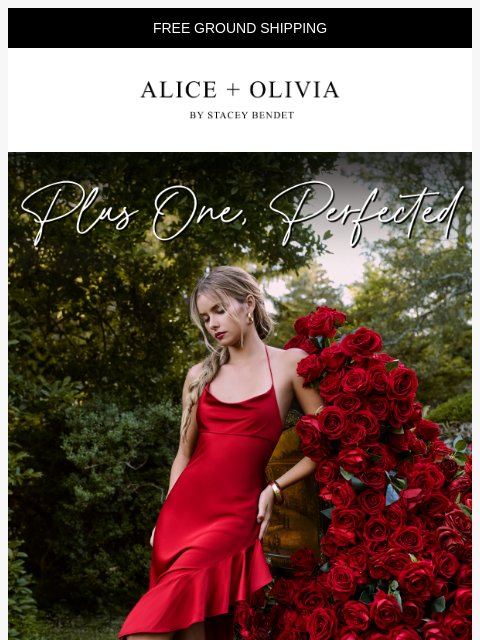 aliceandolivia newsletter: NEW ARRIVALS!!!!!!!!