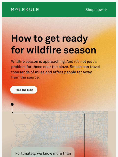 molekule newsletter: 4 Ways To Prep For Wildfire Season