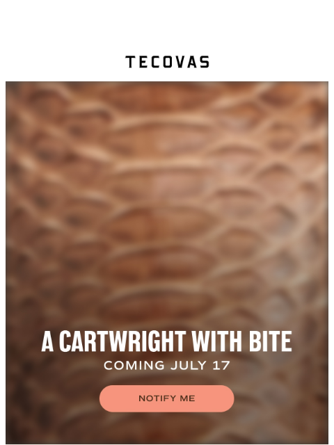 tecovas newsletter: A NEW limited edition boot