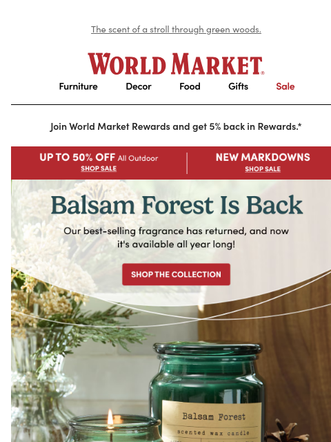 emailworldmarket newsletter: 🌲 Balsam Forest returns!
