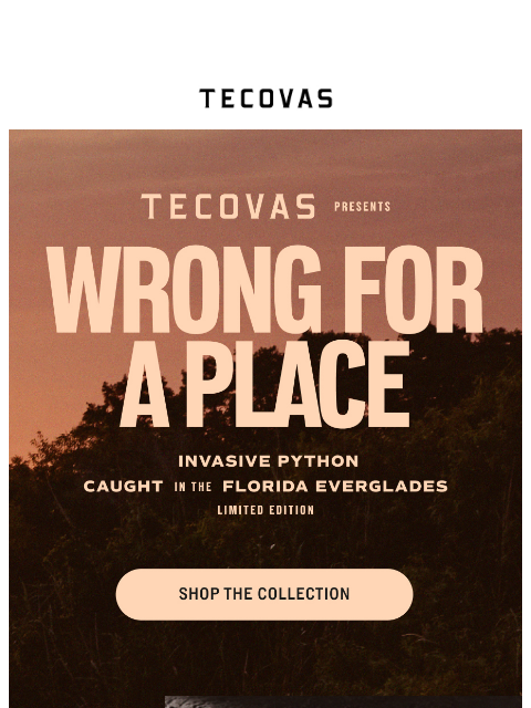 tecovas newsletter: Invasive Python Collection is Here