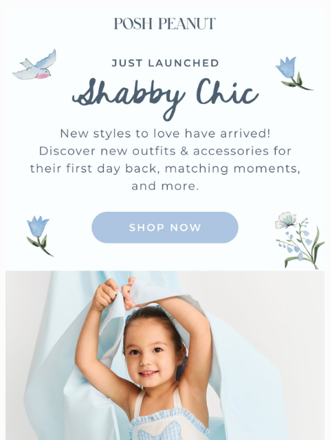 poshpeanut newsletter: 🎀🌼 Don't Miss It - Shabby Chic