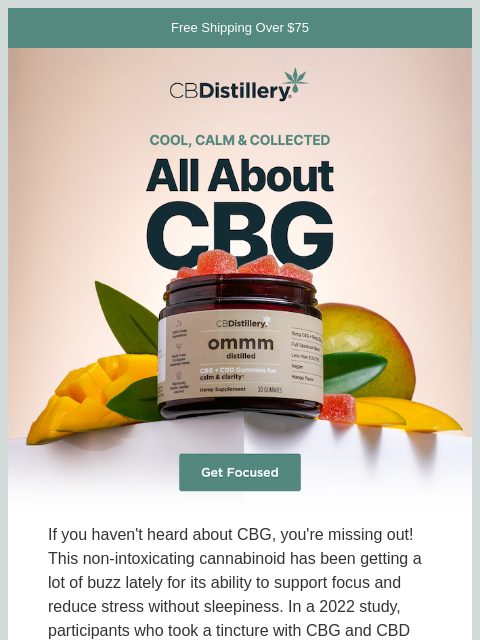 thecbdistillery newsletter: Cool, calm and collected