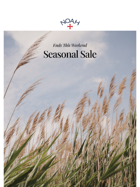noahny newsletter: Last Chance for Seasonal Sale