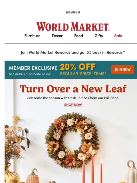 emailworldmarket newsletter: 20% off NEW ARRIVALS ‼️🤑