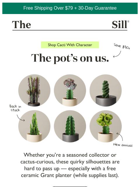 thesill newsletter: Claim your Grant planter
