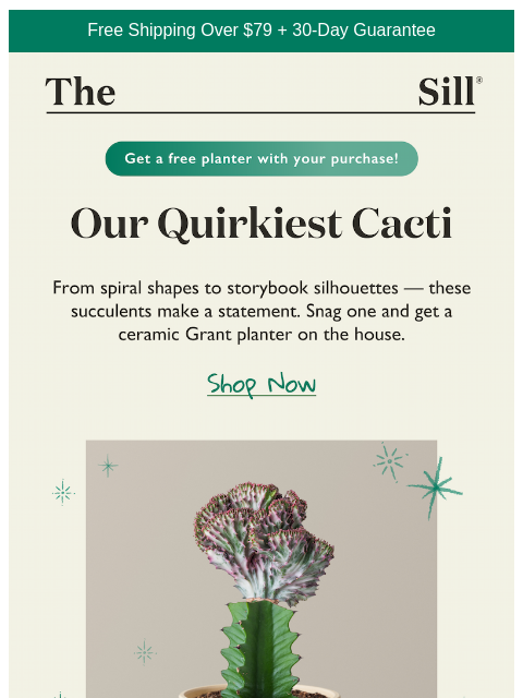 thesill newsletter: 🌵 Unique cacti? Say less.