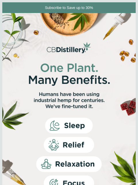 thecbdistillery newsletter: One Plant. Many Benefits.