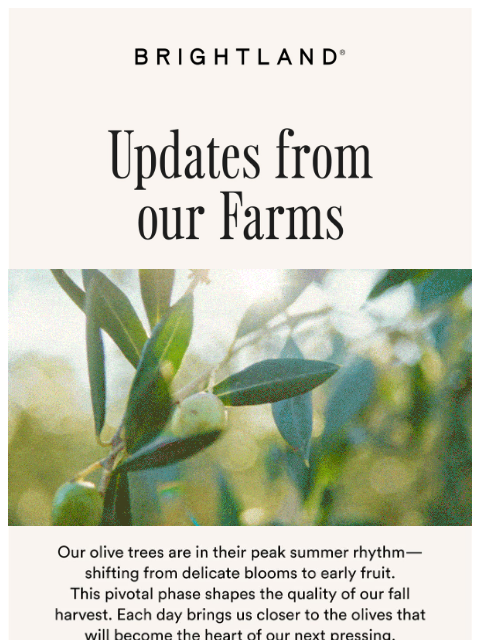 brightland newsletter: What’s Happening on Brightland’s Farms?