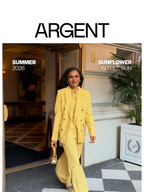 argentwork newsletter: Sunflower, in full bloom.