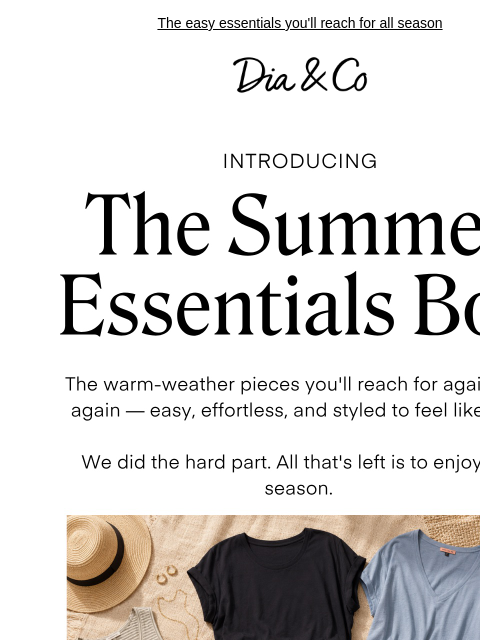 dia newsletter: Your summer staples, in one box