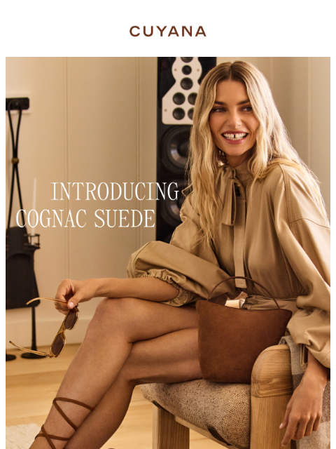 cuyana newsletter: Introducing Cognac Suede