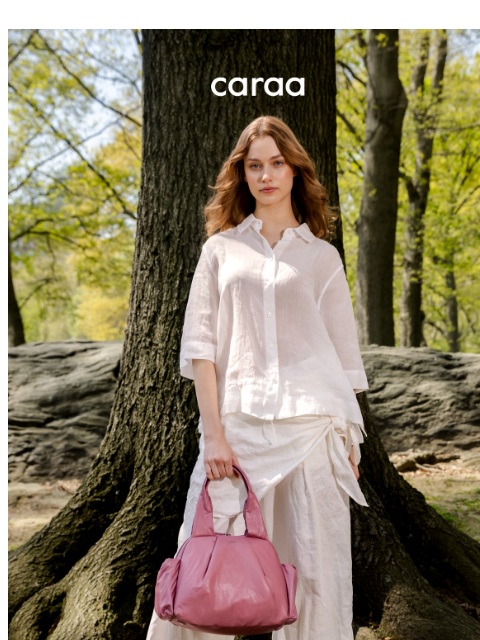 caraa newsletter: All the Smart Details
