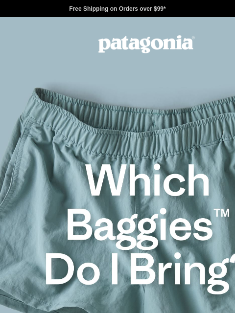patagonia newsletter: Meet the Baggies bunch