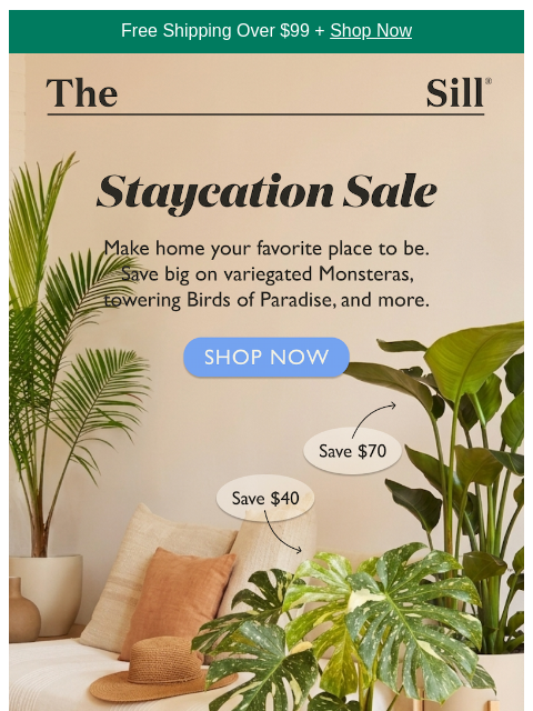 thesill newsletter: Warning: May cause spontaneous relaxing.
