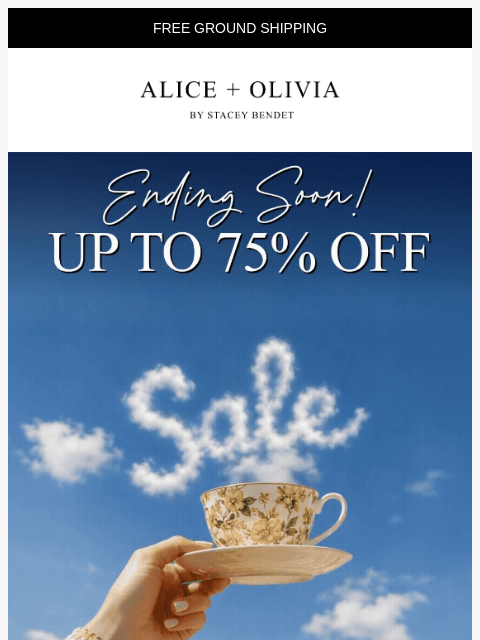 aliceandolivia newsletter: ENDING SOON: Up to 75% Off