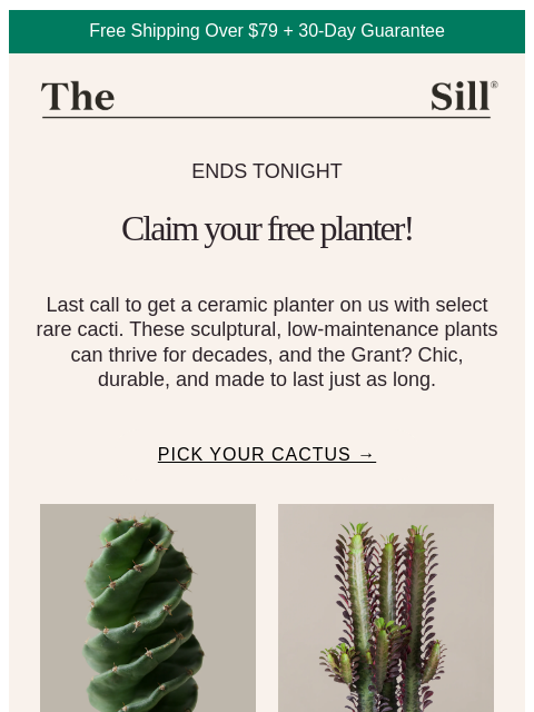 thesill newsletter: This cactus offer expires tonight!