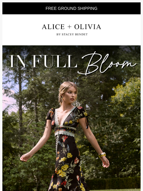 aliceandolivia newsletter: ✨NEW ARRIVALS ✨