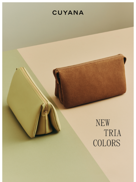 cuyana newsletter: Two New Tria Clutch Colors