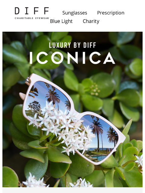 diffeyewear newsletter: Soft Neutrals. Strong Impact. 🤎