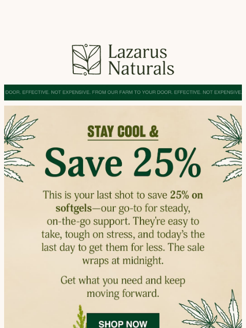 lazarusnaturals newsletter: ☀️ Last Call: 25% Off Softgels Ends Tonight.