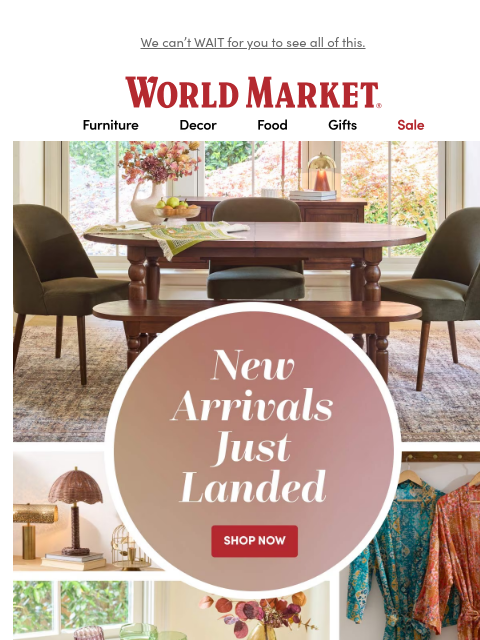 emailworldmarket newsletter: ✨ NEW ARRIVALS ✨