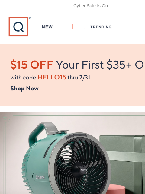 qvcemail newsletter: Sending Out the Sale Signal