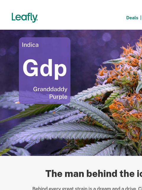 leafly newsletter: Meet the daddy of Granddaddy Purple 🪻