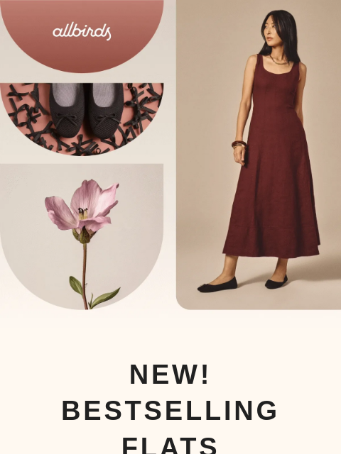 allbirds newsletter: NEW: Bestselling Flats (With A Bow!)