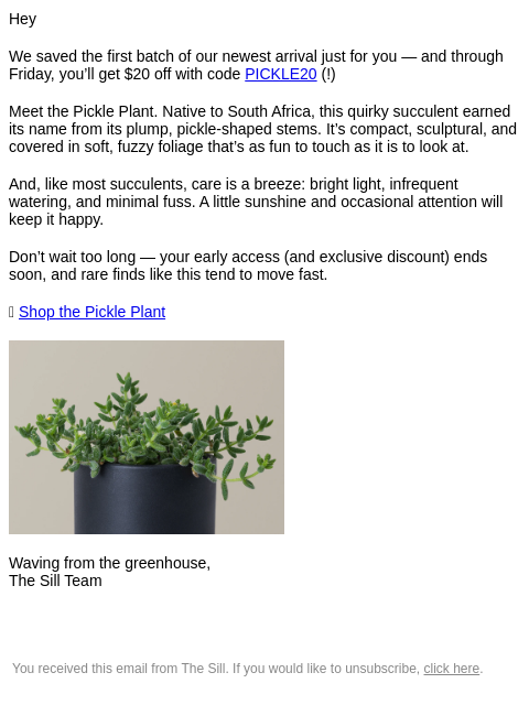 thesill newsletter: First dibs on the Pickle 🥒 (+ $20 off)