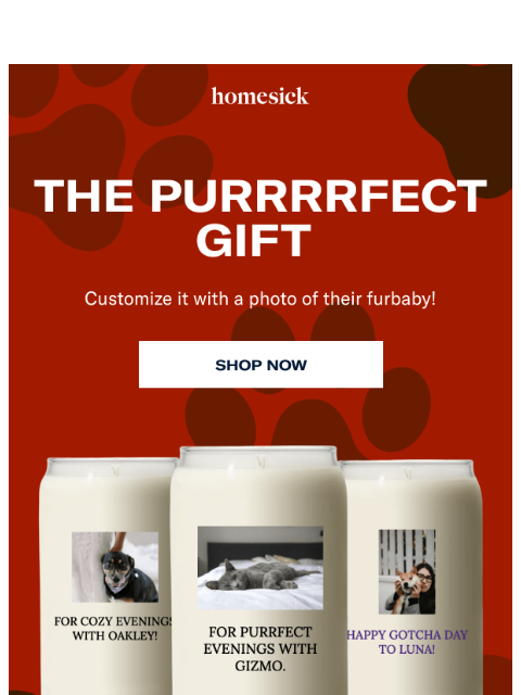 homesick newsletter: The *perfect* gift for pet parents