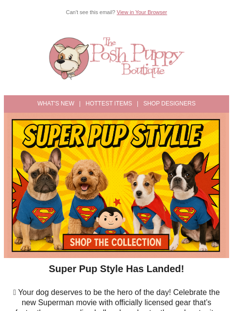 poshpuppyboutique newsletter: It’s a Bird… It’s a Plane… It’s Your Dog in Superm...