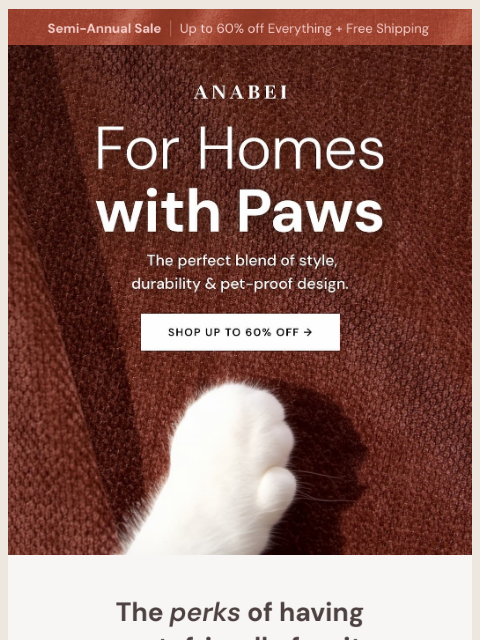 anabei newsletter: For you & your sidekick 🐶🐱