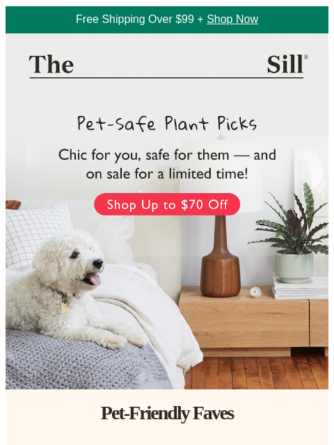 thesill newsletter: For the sniffers, nibblers, and leaf inspectors...