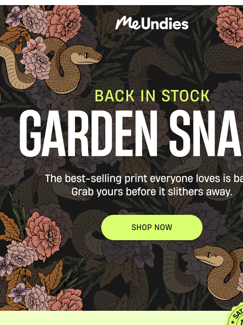 meundies newsletter: A Best Seller Is Back 🐍