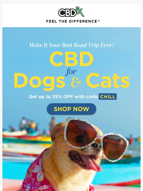 Get up to 25% OFF CBD pet products & more... ͏ ͏ ͏ ͏ ͏ ͏ ͏ ͏ ͏ ͏ ͏ ͏ ͏ ͏ ͏ ͏ ͏ ͏ ͏ ͏ ͏ ͏ ͏ ͏ ͏ ͏ ͏ ͏ ͏ ͏ ͏ ͏ ͏ ͏ ͏ ͏ ͏ ͏ ͏ ͏ ͏ ͏ ͏ ͏ ͏ ͏ ͏ ͏ ͏ ͏ ͏ ͏ ͏ ͏ ͏ ͏ ͏ ͏ ͏ ͏ ͏ ͏ ͏ ͏ ͏ ͏ ͏ ͏ ͏ ͏ ͏ ͏ ͏ ͏ ͏ ͏