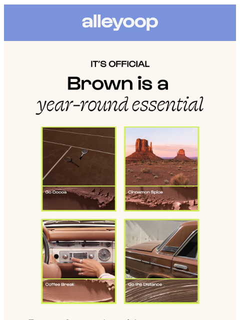 meetalleyoop newsletter: The color that ALWAYS works 👀
