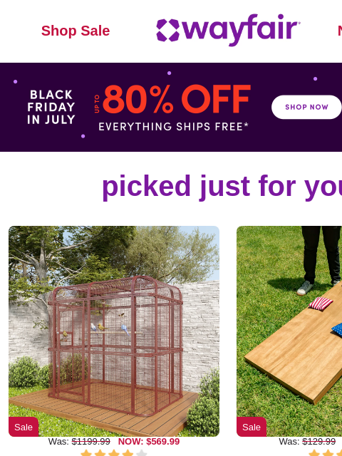 wayfair newsletter: BIRD CAGES ✨ BLACK FRIDAY IN JULY ✨ UP TO 80% OFF ...