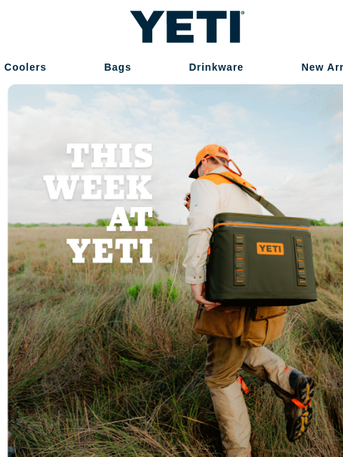 yeti newsletter: Set Your Sights On Something New