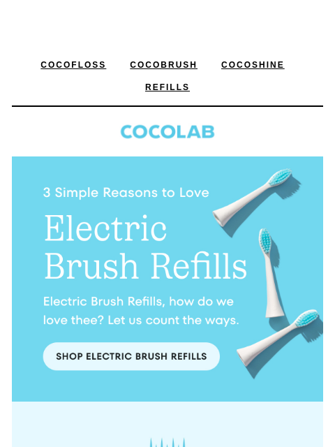cocolab newsletter: No wonder this is one of our bestsellers